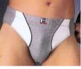 Venta gran partida de Boxer