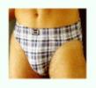 Venta gran partida de Boxer