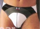 Venta gran partida de Boxer